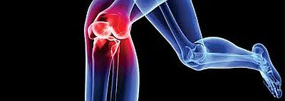 Sports Injury Rehabilitation Course